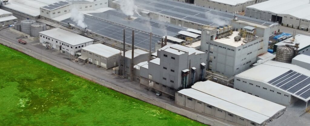 Koza Polyester Temettü Dağıtım Kararını Bildirdi