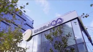 Enerjisa (ENJSA), SPK’ya Başvuruda Bulundu
